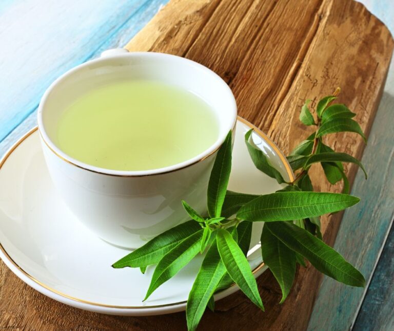 Lemon Verbena sprig on the saucer of a white tea cup.