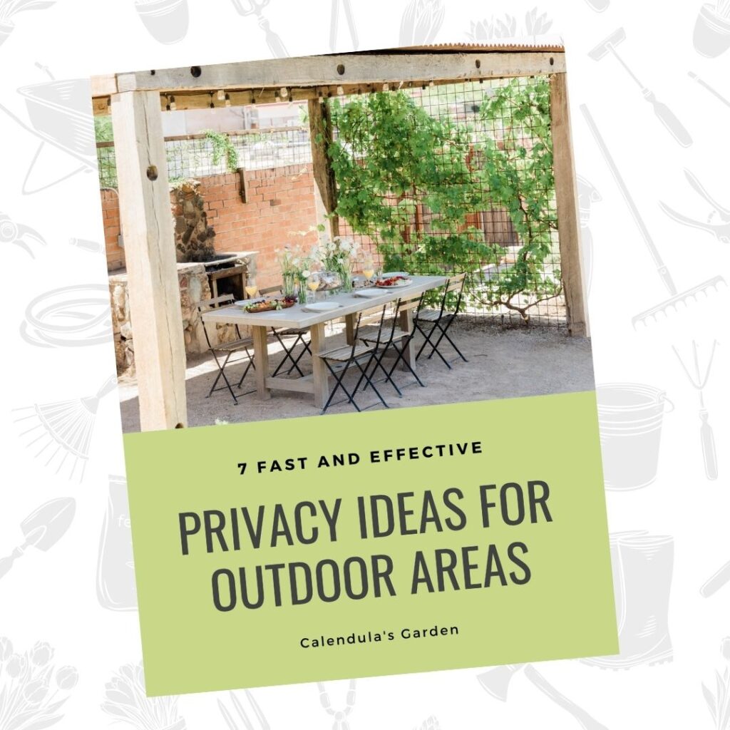 Cover of backyard privacy ideas Ebook, Privacy ideas for outdoor areas.