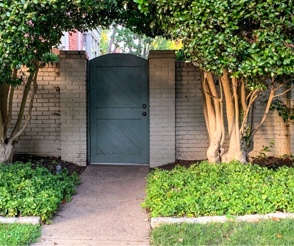 A walled garden with a blue wooden gate and privacy hedge.