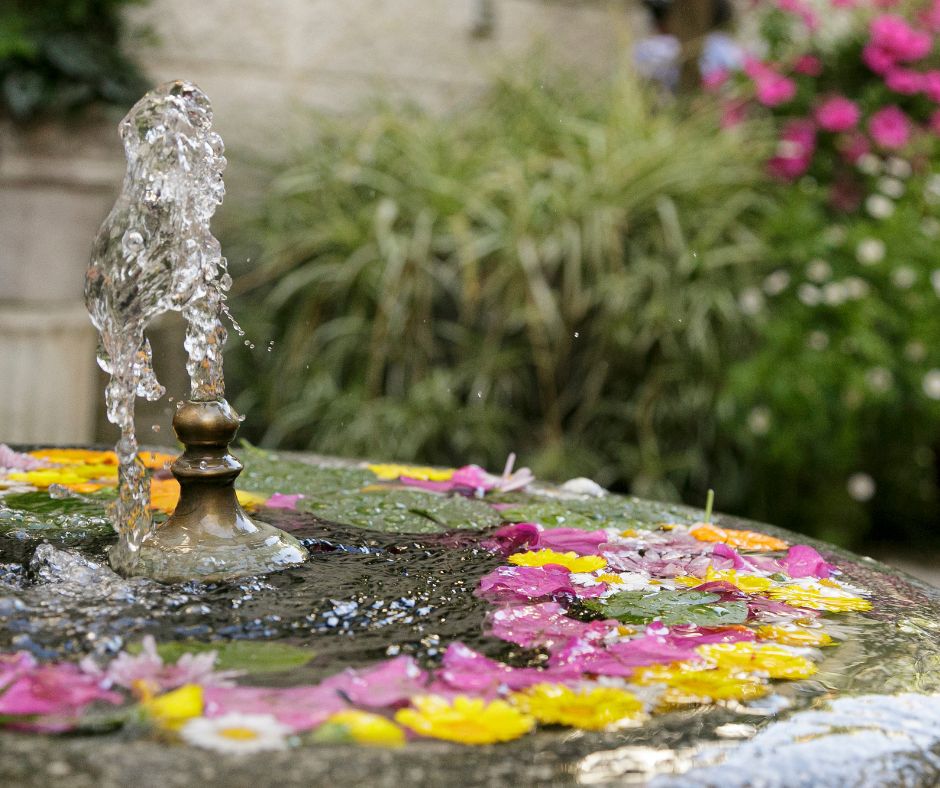 Pink and yellow flowers floating in a water fountain.