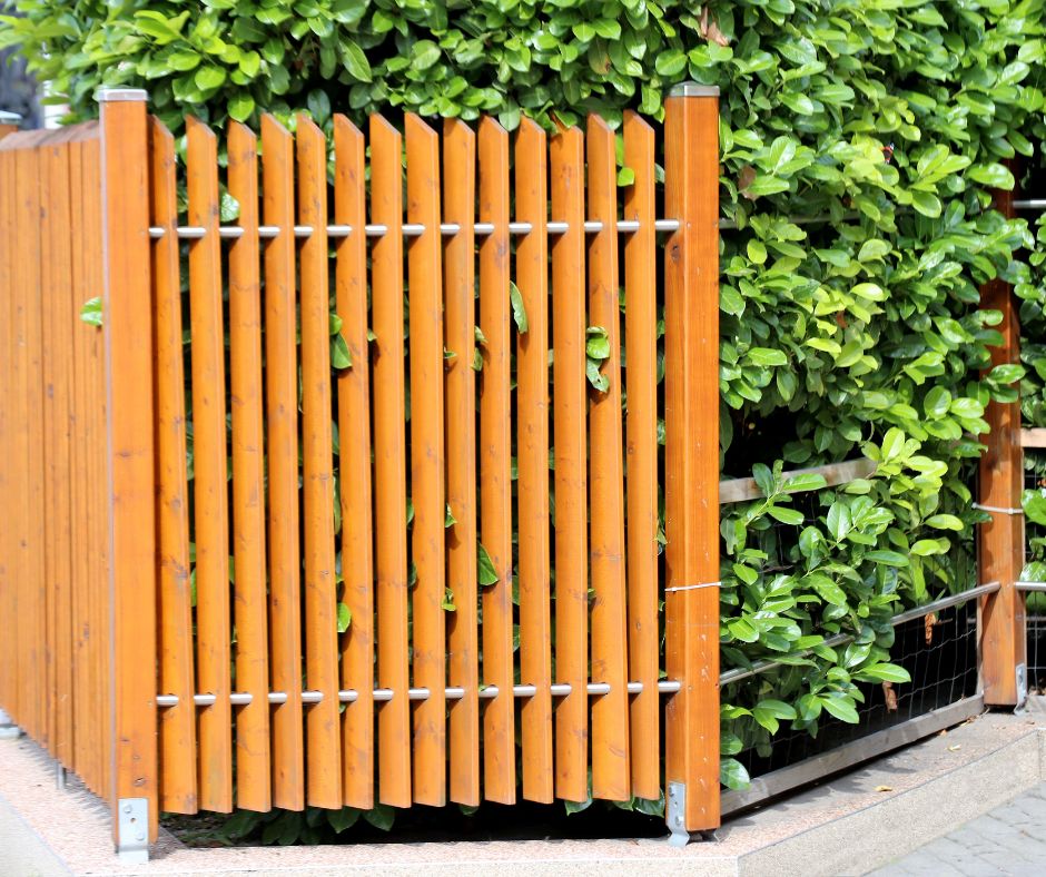 A wooden fence combined with a dense privacy hedge provides garden concealment.