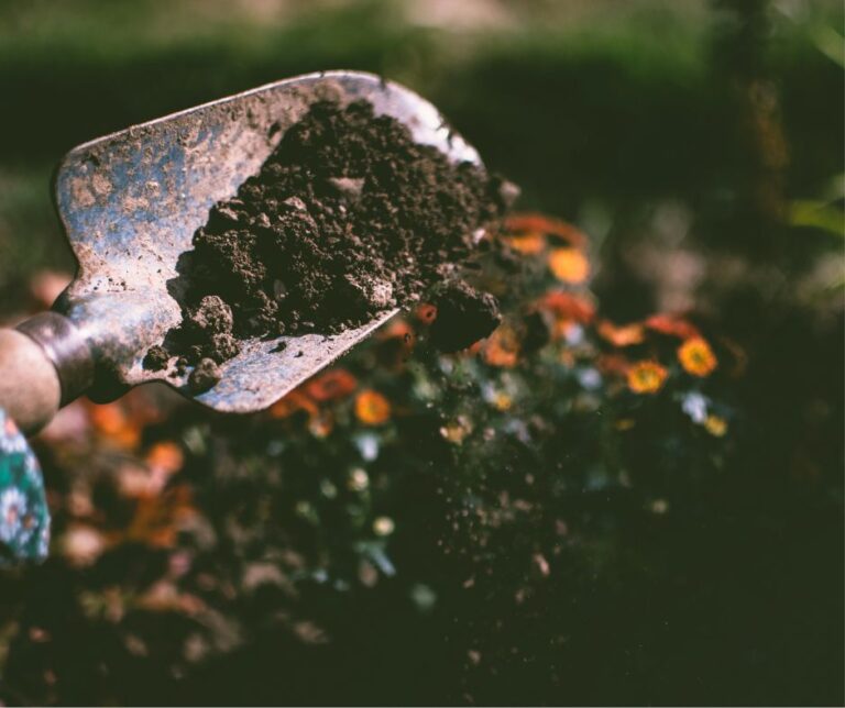 A garden trowel sprinkling potting soil in plant containers.