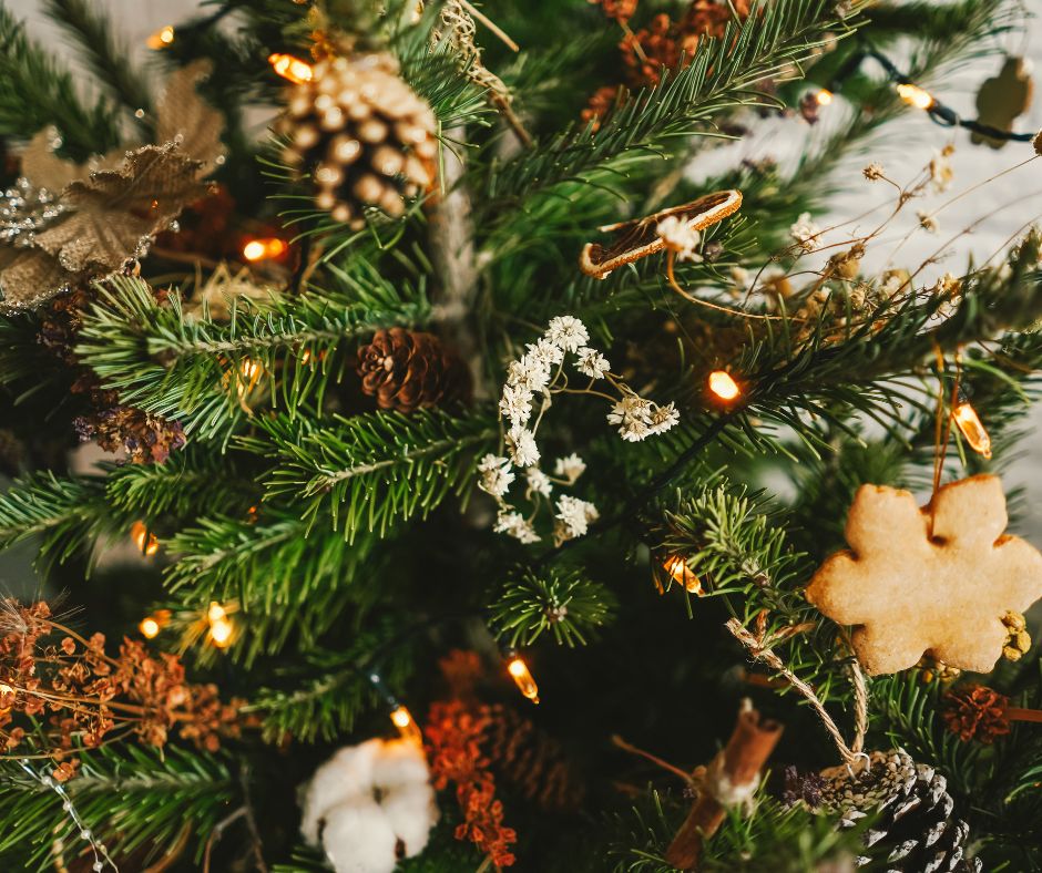 A Christmas tree decoration with natural elements. Including pinecones, dried tansy and ginger bread ornaments.