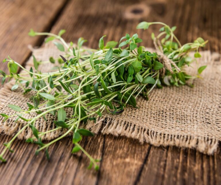 Freshly harvested sprigs of thyme on a wooden table.