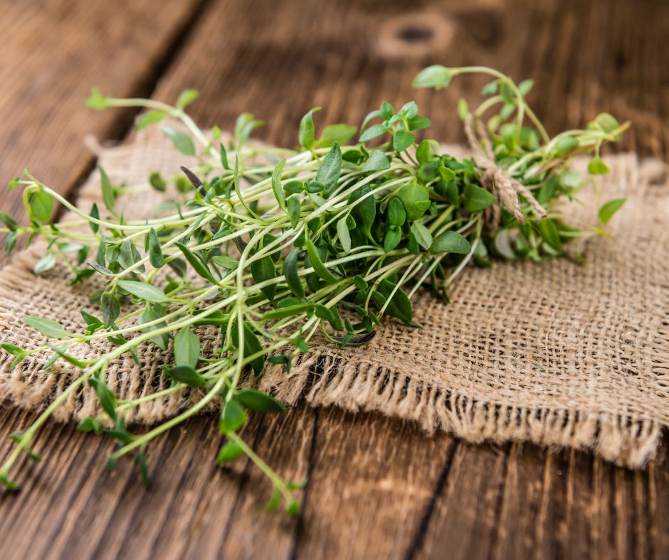 Freshly harvested sprigs of thyme on a wooden table.