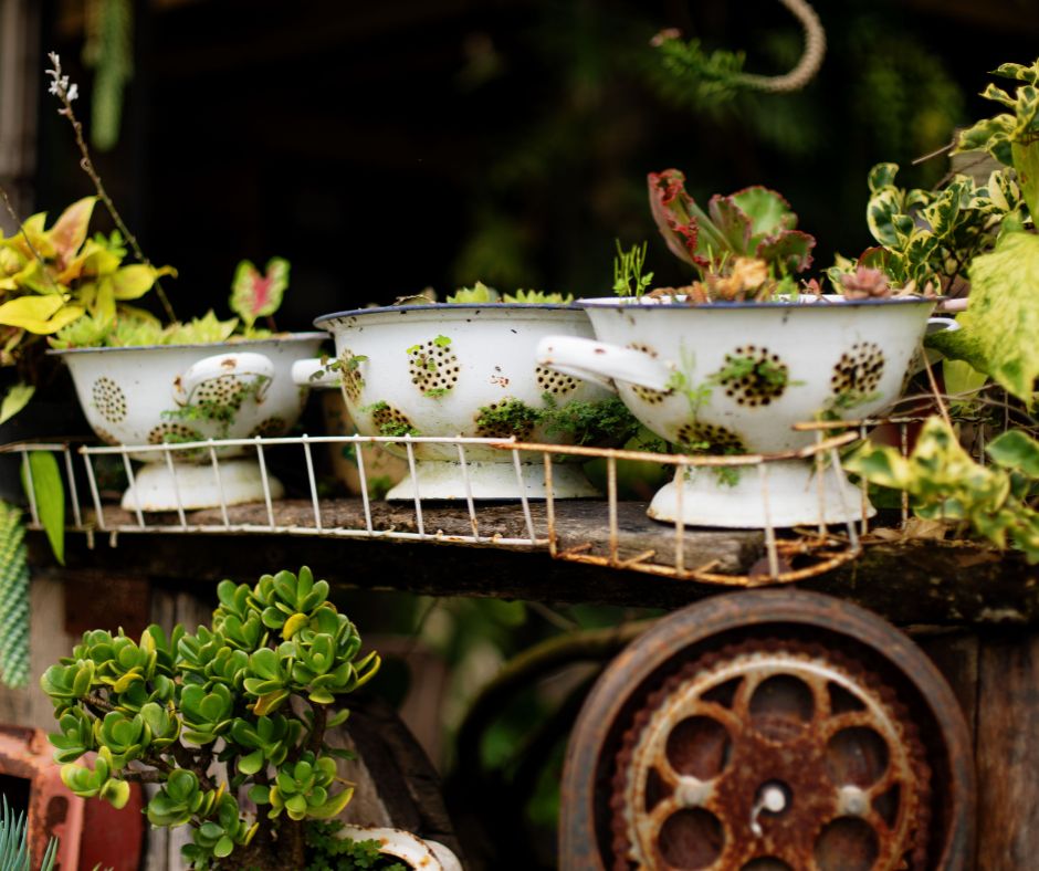 Upcycled garden decor including three kitchen strainers with succulents planted in them.