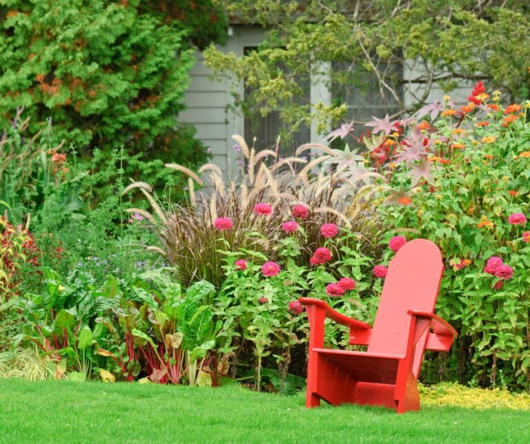 A red chair in a garden surrounded by mosquito repelling plants.