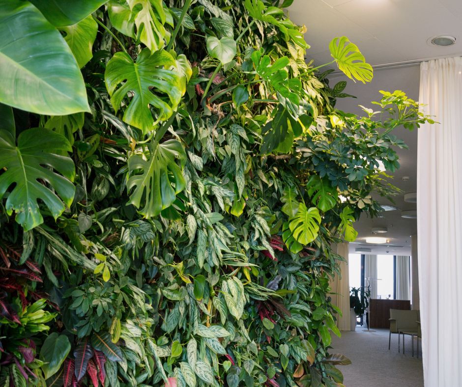 A lush indoor living wall with a large diversity of plants.