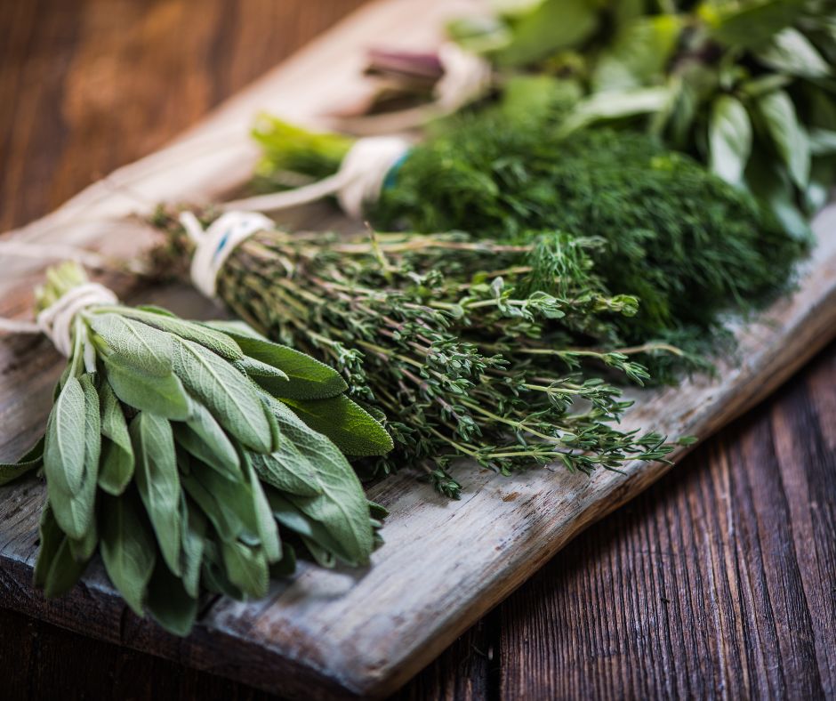 Fresh herb bundles ready to be dried.
