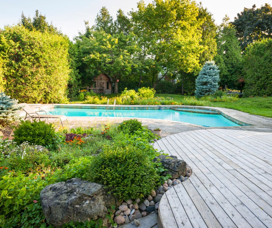 A swimming pool surrounded by large privacy hedges connect to the house by a wood deck.