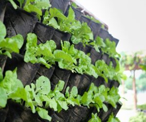 A vertical garden made from hanging garden pouches.