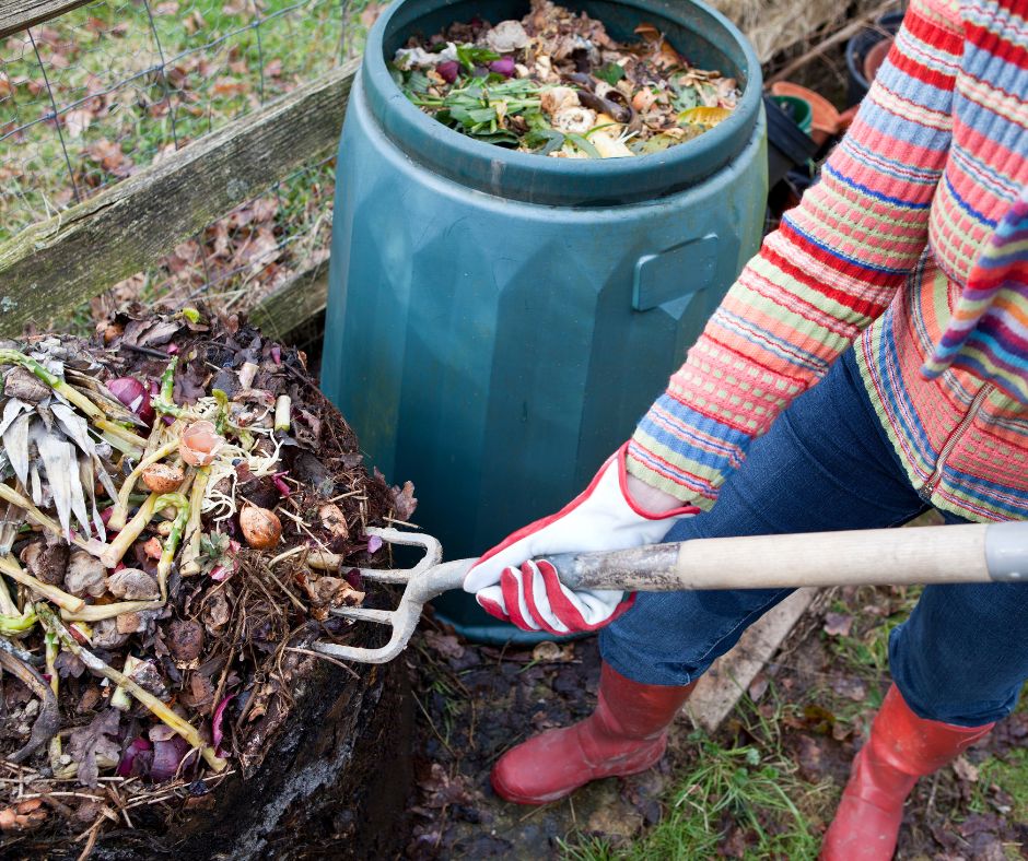 A gardener turning a compost pile with a pitch fork.