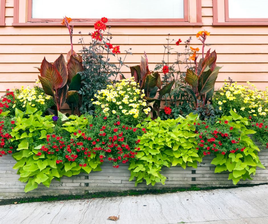 A metal raised garden bed full of upright and trailing, flowers, vegetables and herbs.