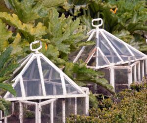 Vintage glass cloches in a fall garden.