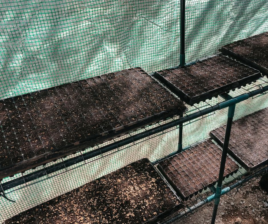 A patio mini greenhouse with trays of soil ready for seed starting inside.