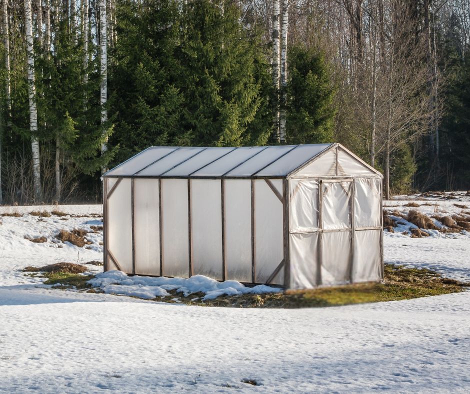 A simple greenhouse in a snowy field.