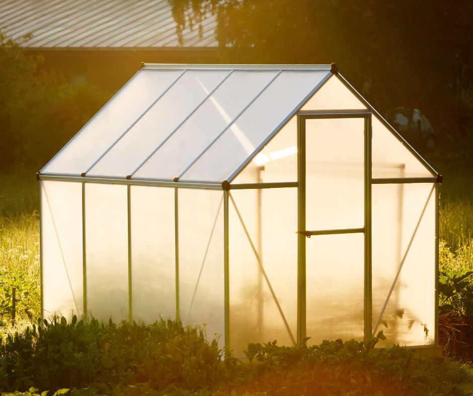 A small greenhouse in a garden.