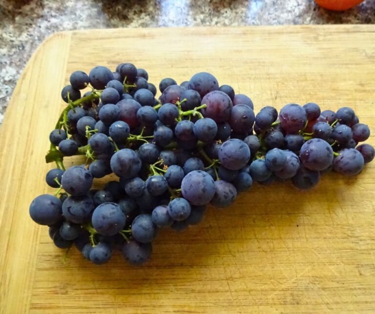 Deep purple grape bunch on a wooden cutting board.