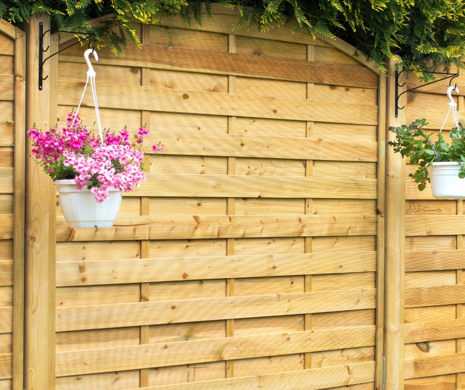 A close paneled wall with handing baskets and evergreen hedge.