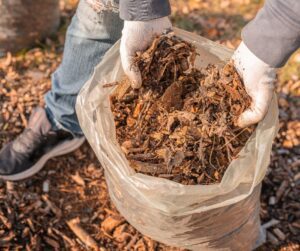 A gardener scooping out leaf mould from a bag.