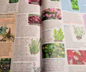 A open seed catalog showing pages of herb plant descriptions.