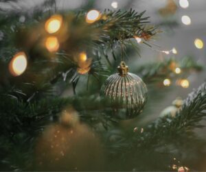 A evergreen privacy hedge decorated with string lights and gold bulbs.