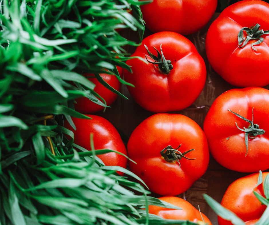 Red tomatoes next to fresh tarragon sprigs.