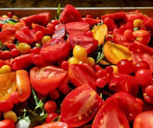 A tray of fresh brightly colored tomatoes on a roasting pan.