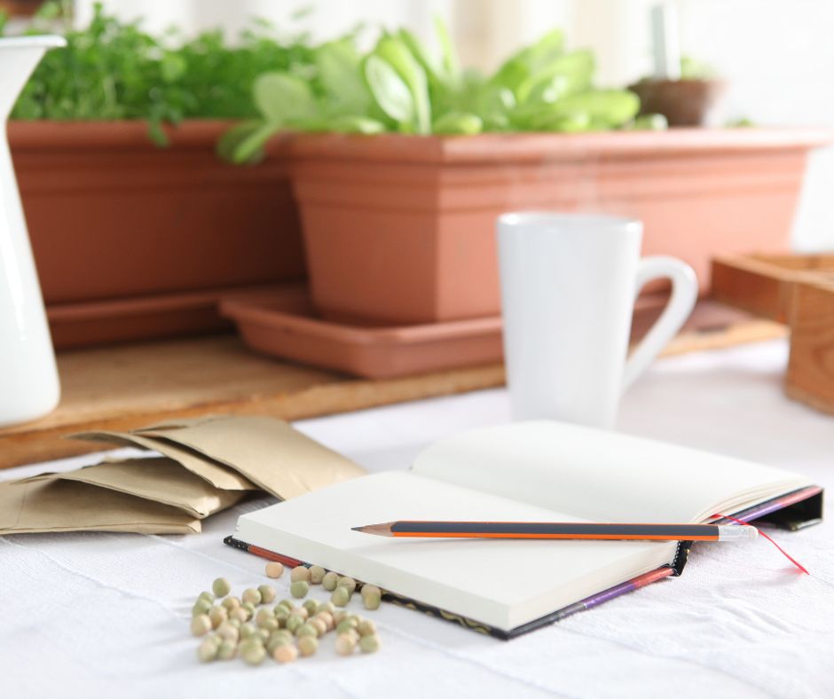 A table with pea seeds an open notebook and potted plants.