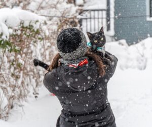 A person carrying a black in a snowy backyard.