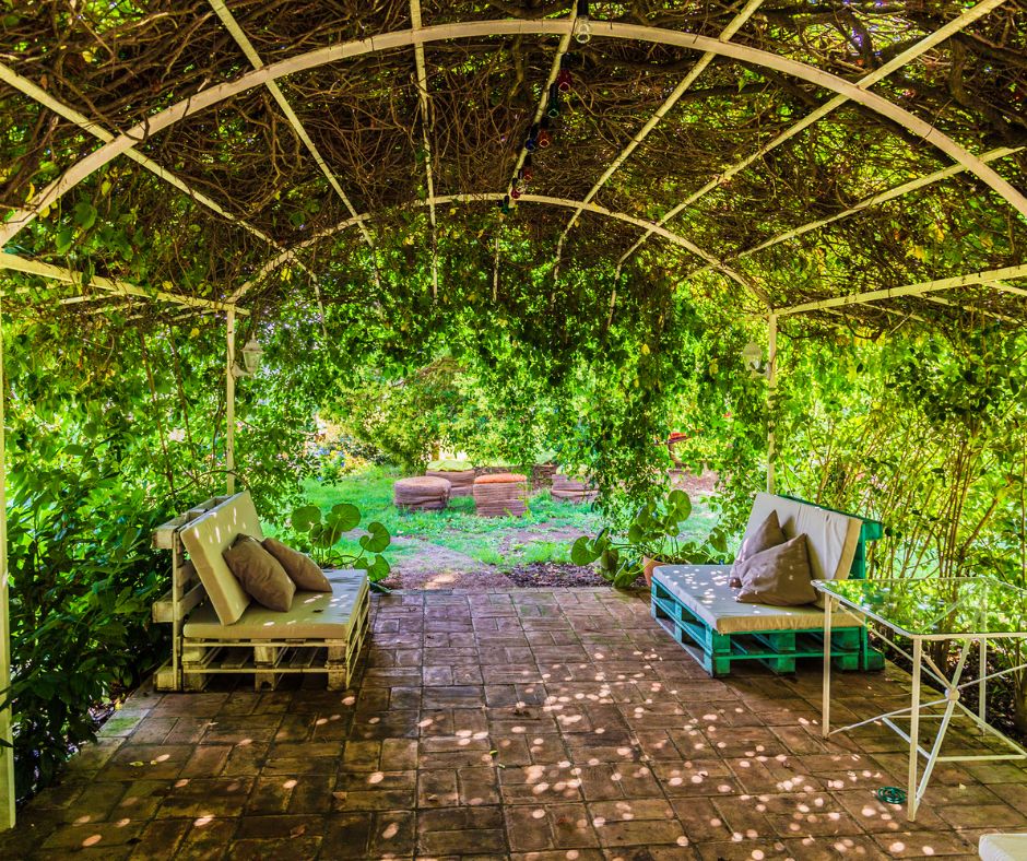 A sitting area shaded by thick vines overhead.