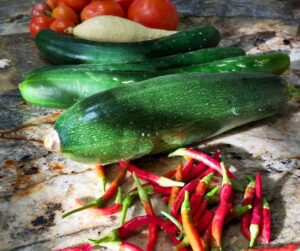 Fresh zucchini, chilies and tomatoes gown together in a sustainable garden.