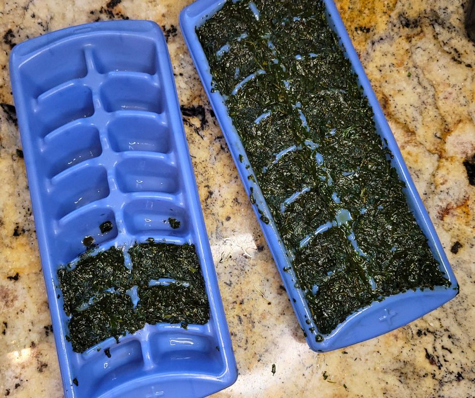 Two blue ice cube trays filled with basil olive oil puree.