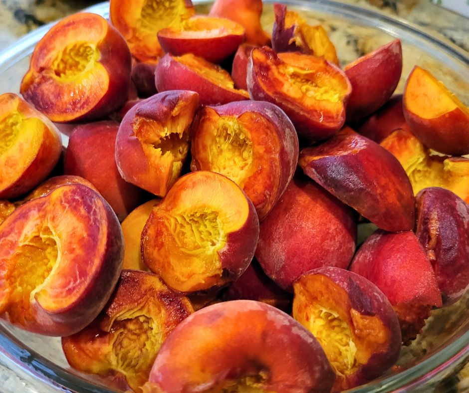 A bowl of halved peaches being prepped for dehydration.
