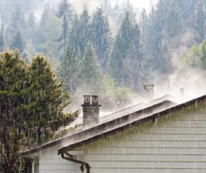A home in a PNW rain storm.