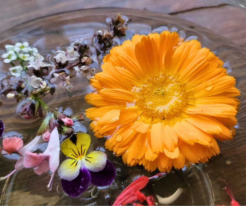 Fresh edible flowers including calendula, pansy and sage, floating in a bowl of water.