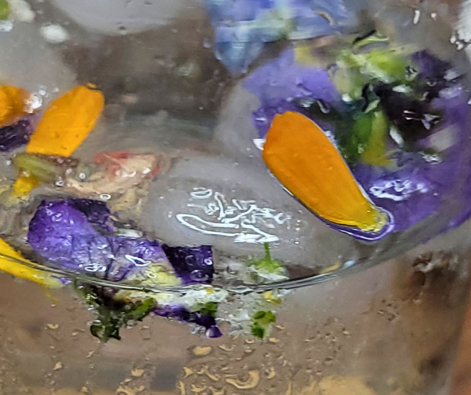 Purple and orange lower petals floating free of ice cubes in a beverage.