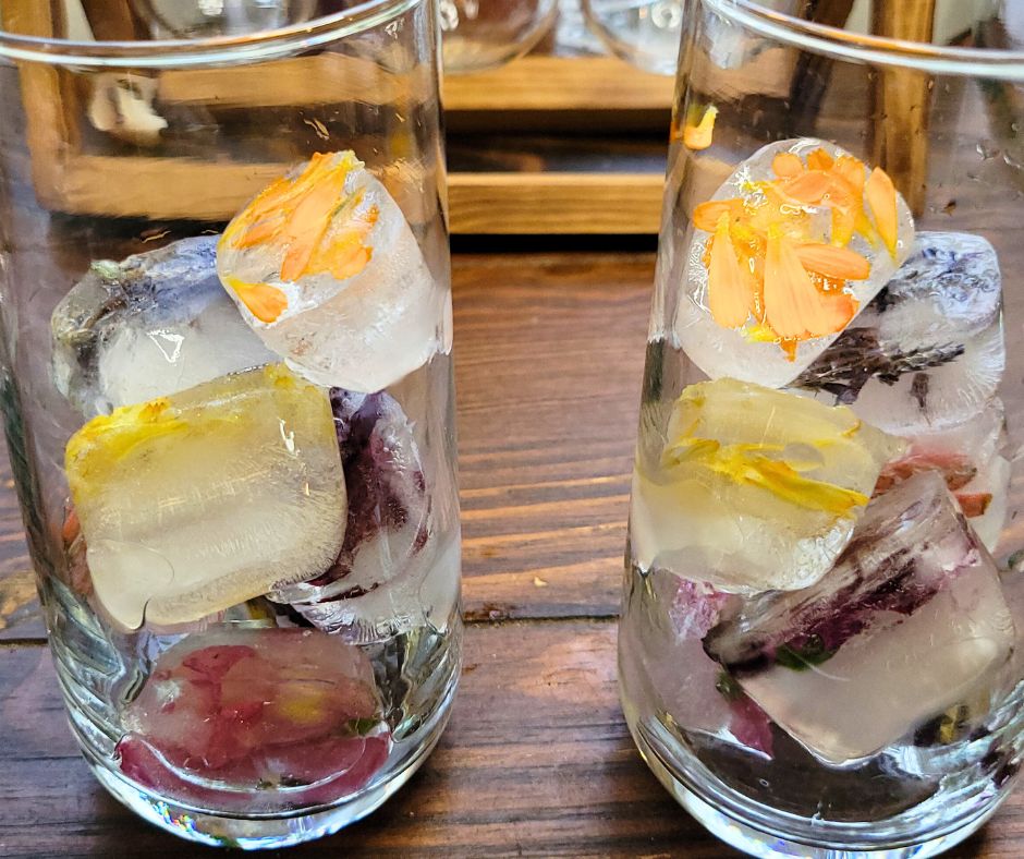 Two glasses filled with brightly colored flower ice cubes.