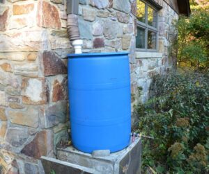 A blue rainwater collection barrel connected to downspout of a home.