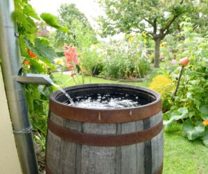 A wooden rain barrel in a backyard garden.