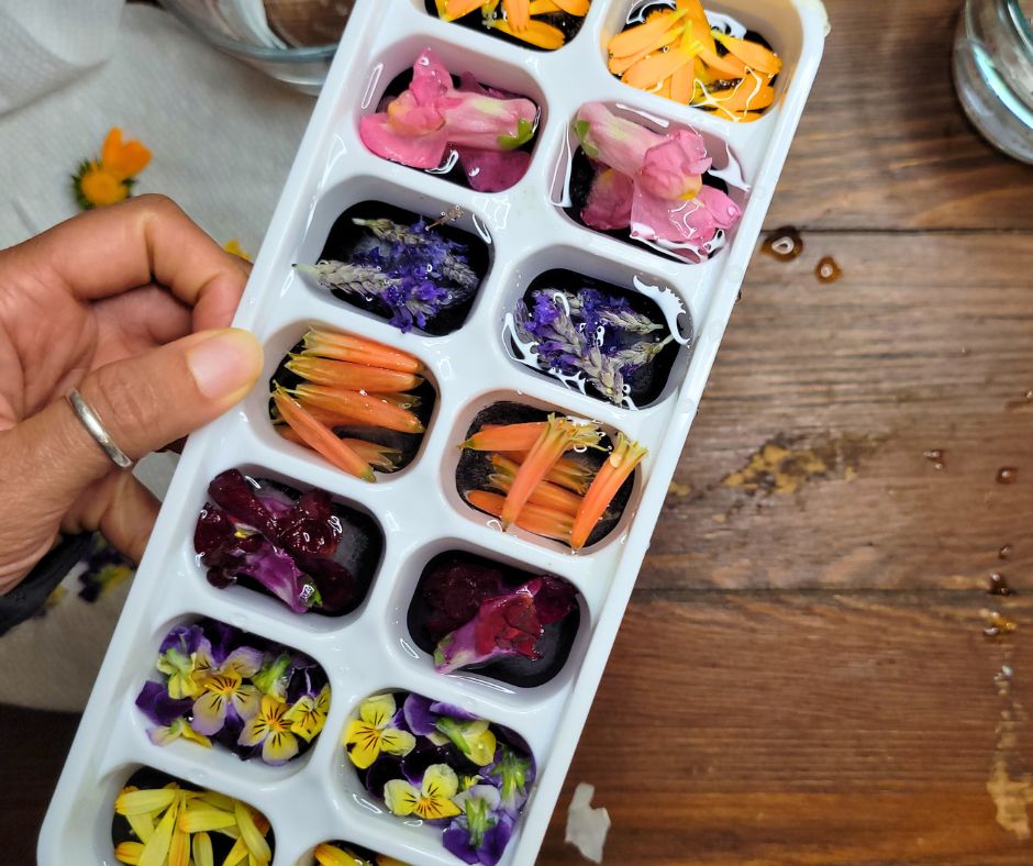 An ice cube tray with each cell filled with brightly colored flowers.