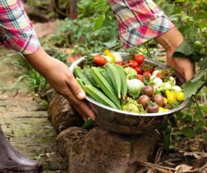 A gardener holding a bowl of freshly picked summer produce in their garden.