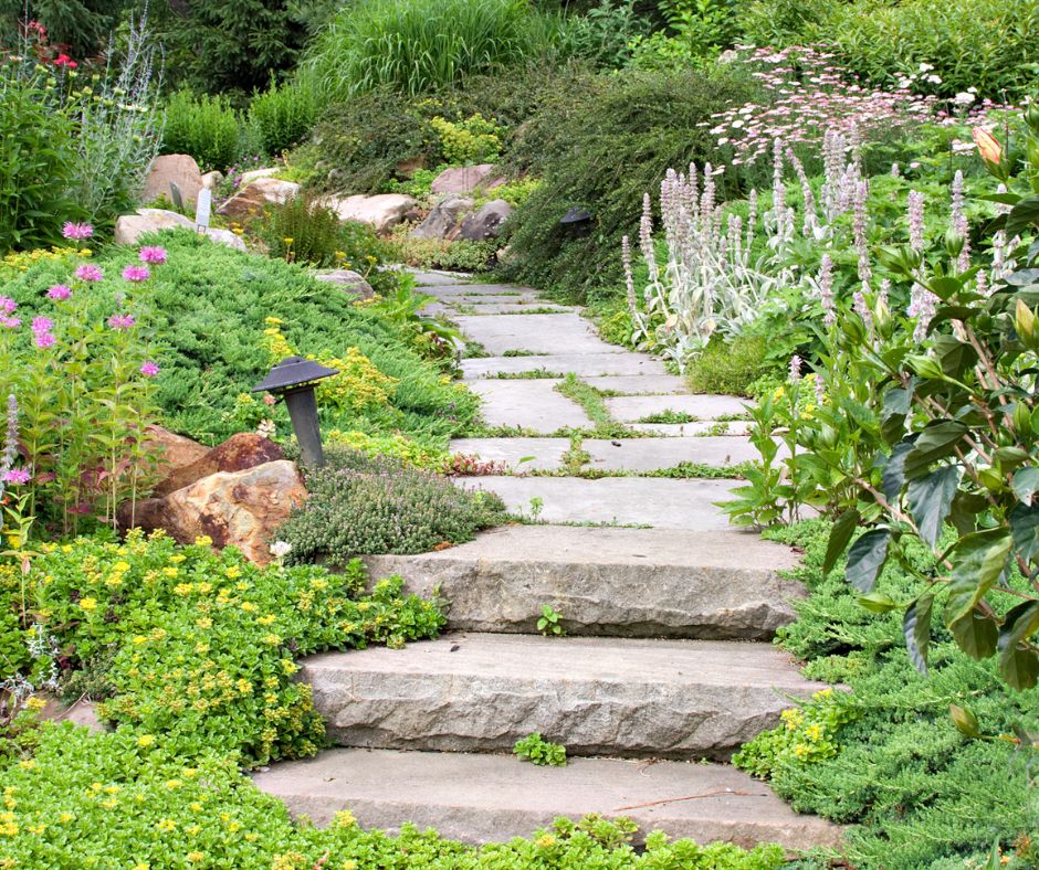 A stone garden path and stairs in a lush backyard.