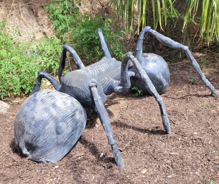 A large sculpture of an ant in the Albuquerque Botanical Gardens.