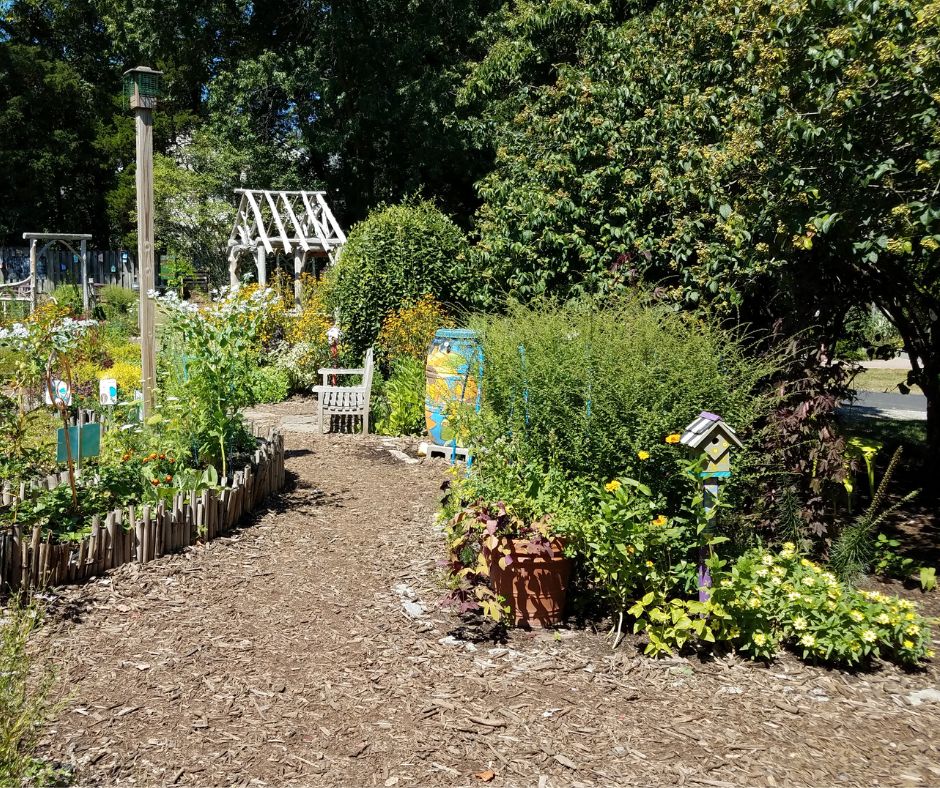 A rustic cottage garden featuring a wide mulch garden path.