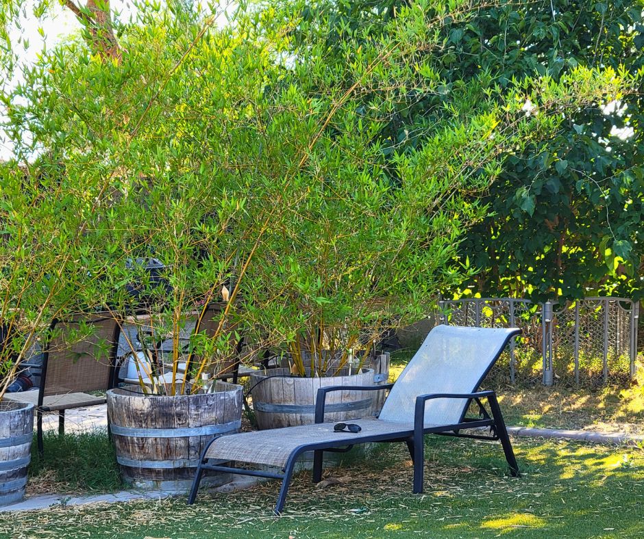 A beige lounge chair taking advantage of shade provided by a bamboo privacy screen.