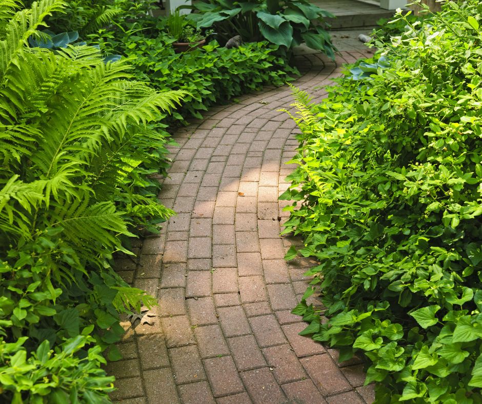 A classic brick garden path wind through a green garden.