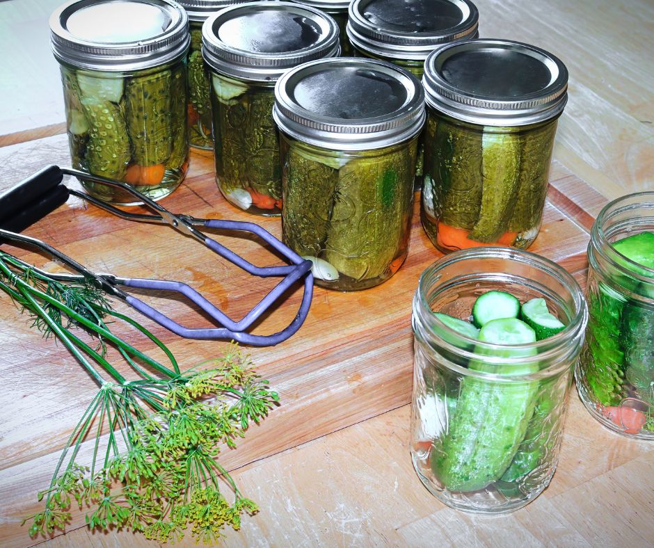 Equipment for turning home grown garden cucumbers into pickles in a canner.
