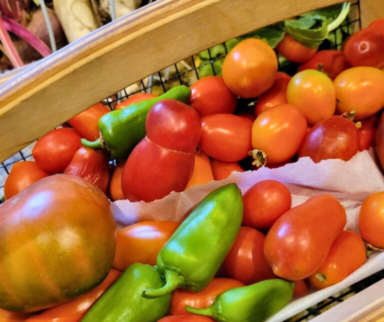 A colorful basket of fresh picked garden vegetables, including tomatoes and bell peppers.