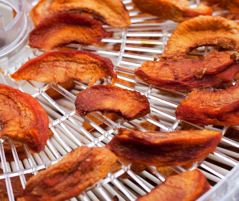 Peaches from a backyard fruit tree drying in a dehydrator.